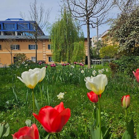 Yellow Flat By Grazrentals With Best Location & Free Parking Extérieur photo